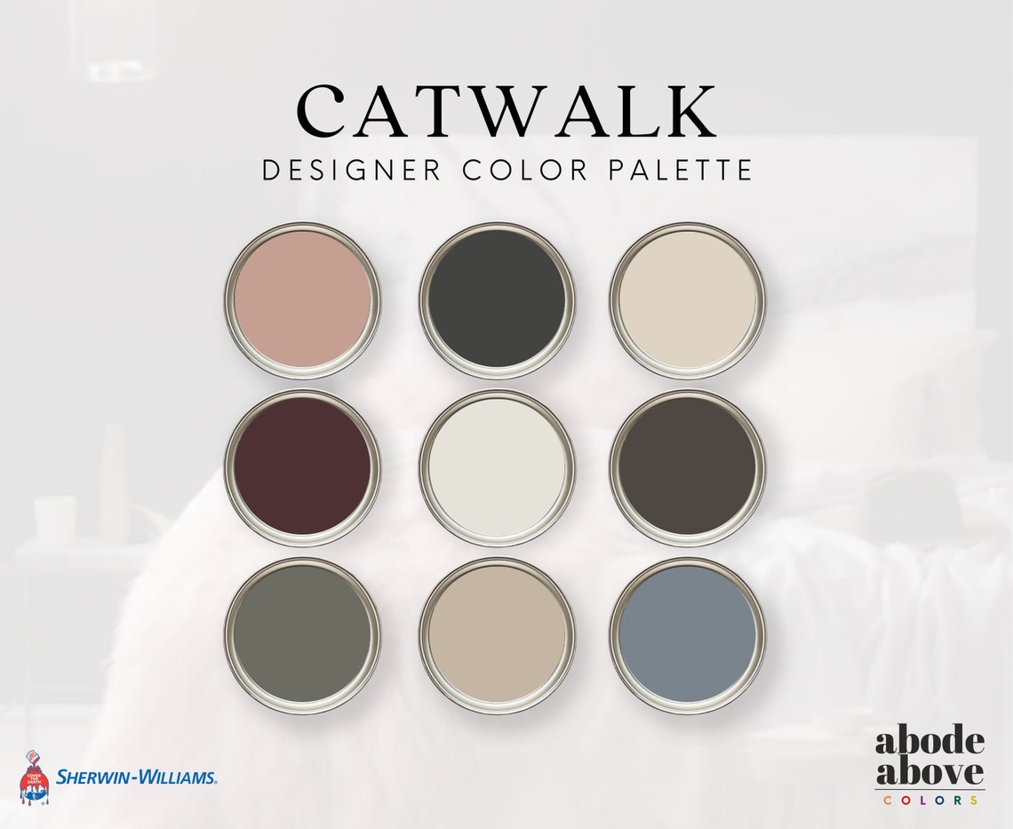 Catwalk Interior Design Color Palette With Hex Codes for - Etsy