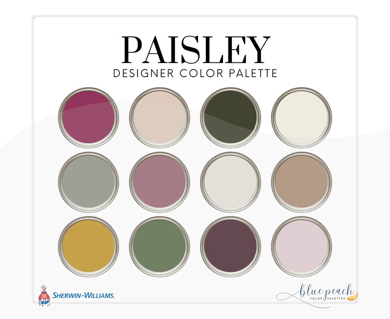 Paisley Interior Design Color Palette With Hex Codes for Etsy