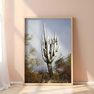 Könnte beinhalten: Gerahmter Druck mit einem großen Saguaro-Kaktus in einer Wüstenlandschaft. Der Kaktus ist hoch und mehrfach verzweigt, mit einer hellgrünen Farbe. Der Hintergrund zeigt weitere Wüstenpflanzen und einen bewölkten Himmel.