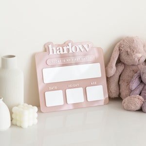 May include: Pink acrylic growth chart with the name "harlow" in white lettering. The chart has spaces to record the date, height, and age. The chart is on a white surface with a white vase and a stuffed bunny.