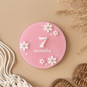 Cartes d'étape arquées en acrylique avec fleur de marguerite | Marqueurs d'étapes mensuelles | Carte d'étape interchangeable Boho | Cadeau baby shower, accessoire photo