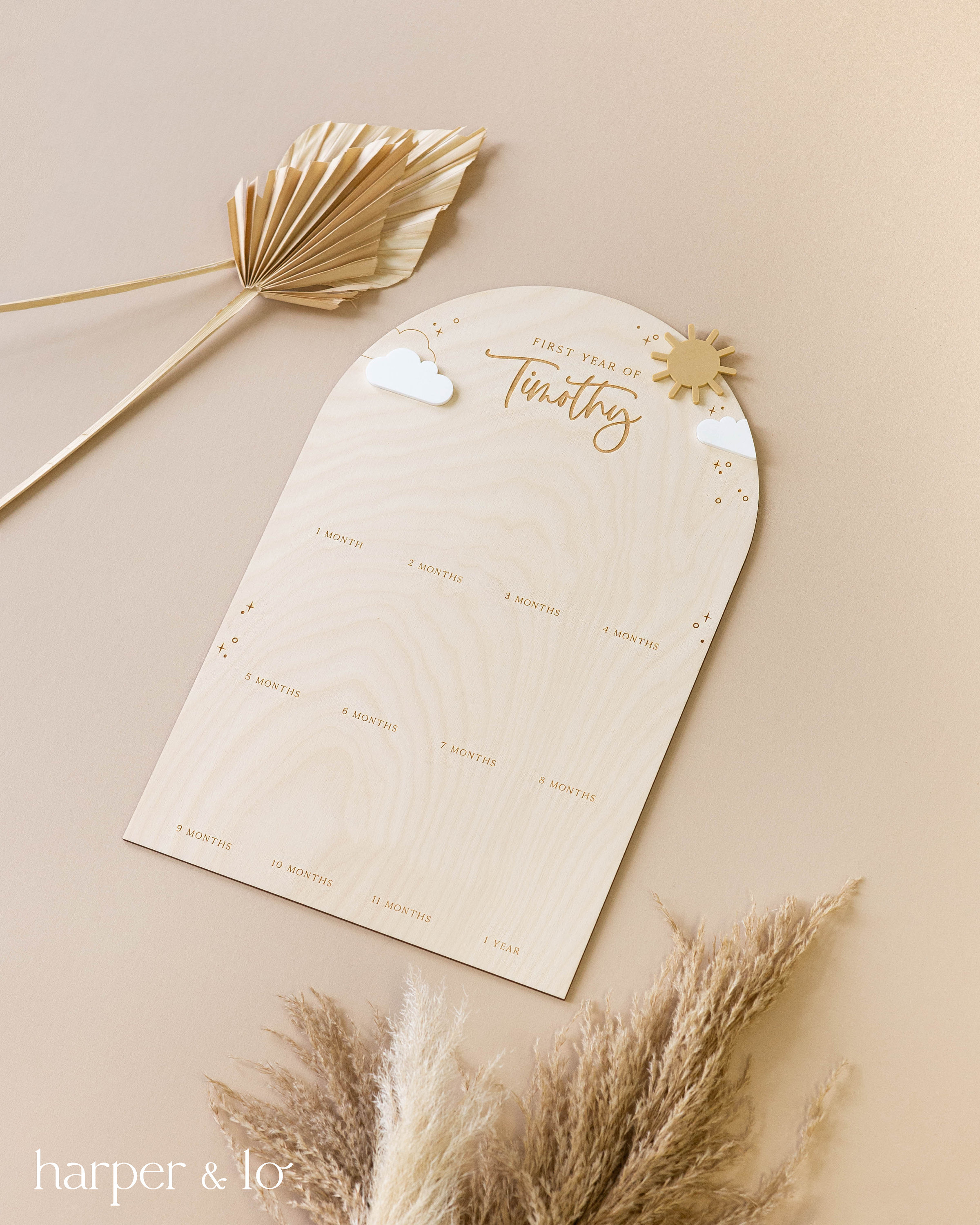 May include: A wooden growth chart with a light brown background and a white arch at the top. The arch has a sun and clouds with a white star. The text "First Year of Timothy" is written in a cursive font. The chart has 12 months and 1 year marked on it.
