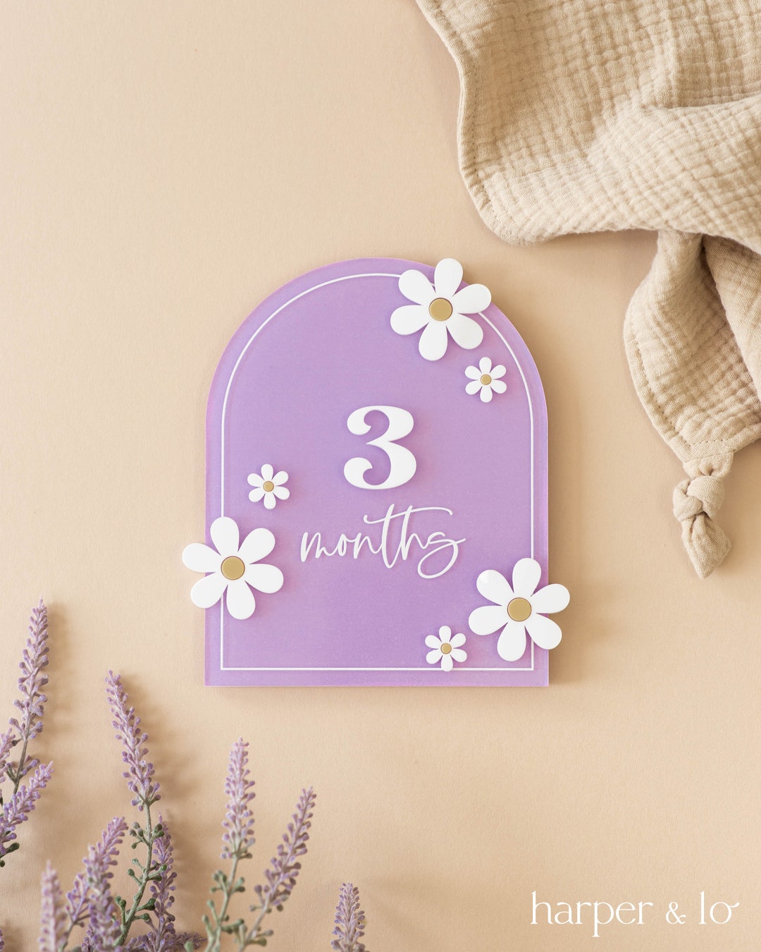 Acrylic Daisy Flower Arched Milestone Cards | Monthly Milestone Markers ...