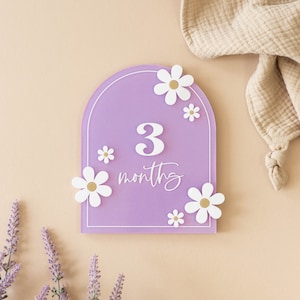 Acrylic Daisy Flower Arched Milestone Cards | Monthly Milestone Markers | Boho Interchangeable Milestone Card | Baby Shower Gift, Photo Prop