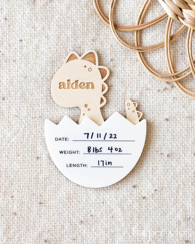 Birth Announcement Sign | Dinosaur, Safari | Personalized Custom Name ...