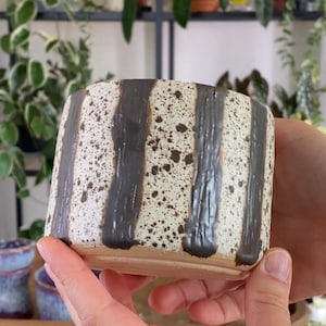 May include: A cylindrical ceramic planter with a speckled cream background and vertical dark gray stripes. The handmade pot has a natural, earthy aesthetic, suitable for small plants or succulents. The planter is held in a person's hands.