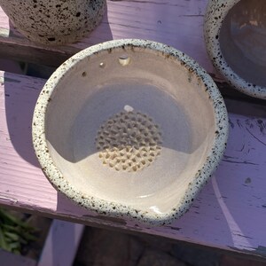 Preorder Handmade Ginger Grater with Herb Stripper Bowl Garlic Grater, Small Batch Stoneware Pottery Herb Stripper Ceramic Grater with Spout