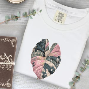 Alocasia Variegated Pink Shirt, Rare Plants Lover Gift Ideas, Wishlist Houseplants for the Plant Person in Your Life