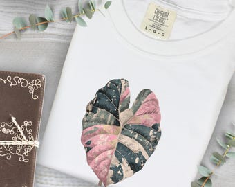 Alocasia Variegated Pink Shirt, Rare Plants Lover Gift Ideas, Wishlist Houseplants for the Plant Person in Your Life