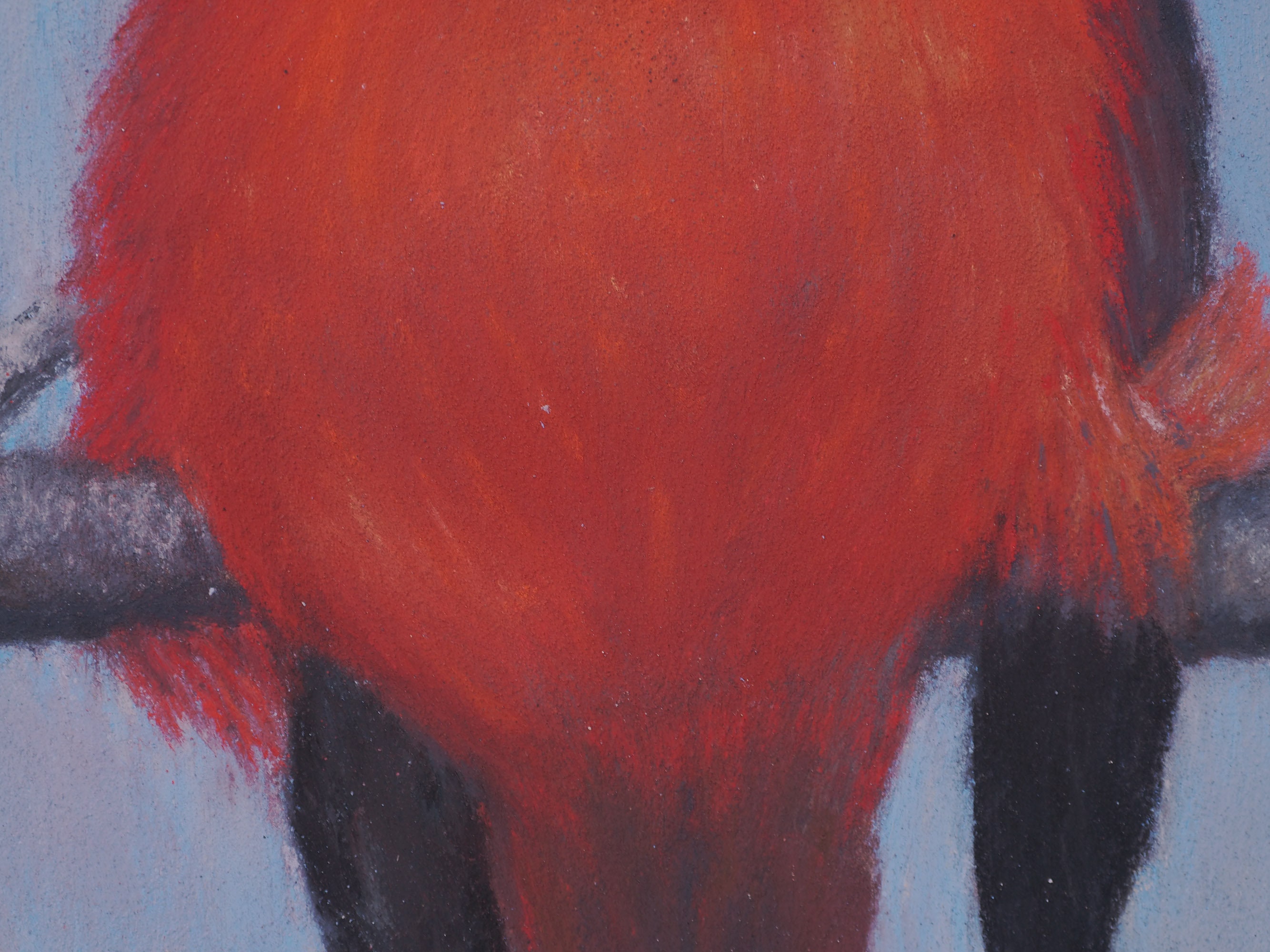 Vermilion Flycatcher, Original Soft Pastel Drawing, Fine Art, Matted ...