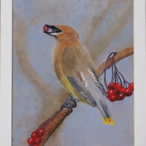 Cedar Waxwing, Original Soft Pastel Drawing, Fine Art, Matted, Ready to Frame, 9 x 12 Inches