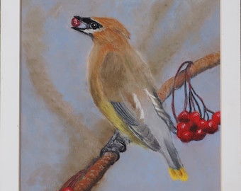 Cedar Waxwing, Original Soft Pastel Drawing, Fine Art, Matted, Ready to Frame, 9 x 12 Inches