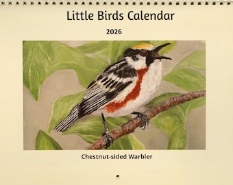 May include: A calendar titled "Little Birds Calendar 2026" displays a watercolour painting of a Chestnut-sided Warbler on a branch. The bird has a white breast, black and white wings, and a red stripe. Green leaves are in the background.