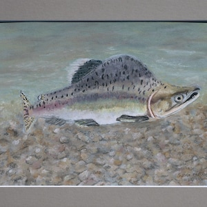 Rosa Lachs, Original Pastell Zeichnung, mit Passepartout, fertig zum Rahmen, 12x9