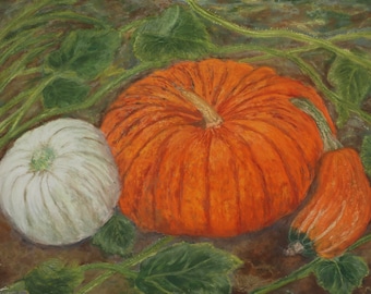 Pumpkin and Squash, Original Soft Pastel Drawing, Fine Art, Matted, Ready to Frame, 16x12
