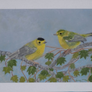 Wilson&#39;s Warbler Original Soft Pastel Artwork, 12x9 inches Matted and Ready to Frame