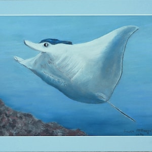 Manta Ray, Original Pastel Drawing, Fine Art, Matted, Ready to Frame, 12x9
