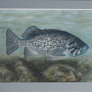 Matted Fish Painting 
