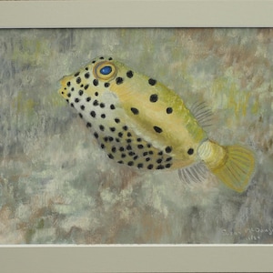 Yellow Boxfish, Original Pastel Drawing, Fine Art, Matted, Ready to Frame, 12x9 inches