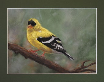 American Goldfinch Original Soft Pastel Artwork, 12x9 inches Matted and Ready to Frame