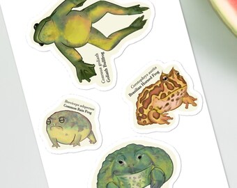 Froggy Friends Frog Stickers - Big and Round Edition