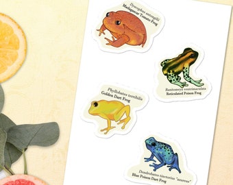 Froggy Friends Frog Sticker Sheet - Poisonous Rainbow Edition