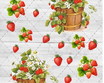 Strawberries Waterslide Sheet