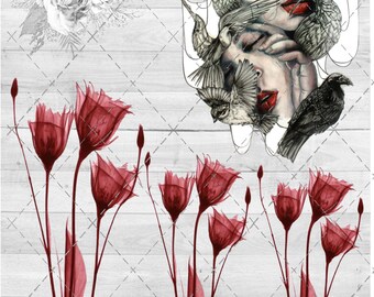 Red Xray Floral Waterslide Sheet