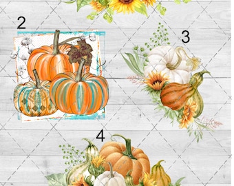 Fall Pumpkin Floral 2 Waterslide Sheet