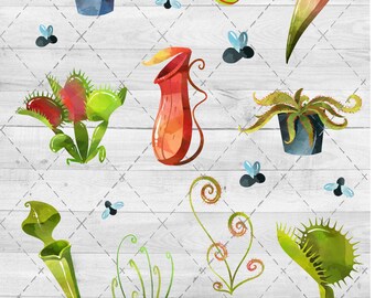 Venus Flytrap Floral Waterslide Sheet