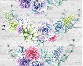 Succulents 2 Waterslide Sheet