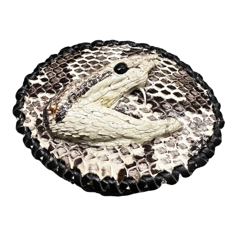 Peut inclure: Une boucle de ceinture en cuir noir avec un motif de peau de serpent blanc. Le serpent est enroul&eacute; sur lui-m&ecirc;me, la t&ecirc;te tourn&eacute;e vers le spectateur. La boucle est ronde et poss&egrave;de une bordure en cuir noir.