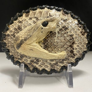 Rattle Snake cowboy cowgirl western style belt buckle hebilla piton vaquera