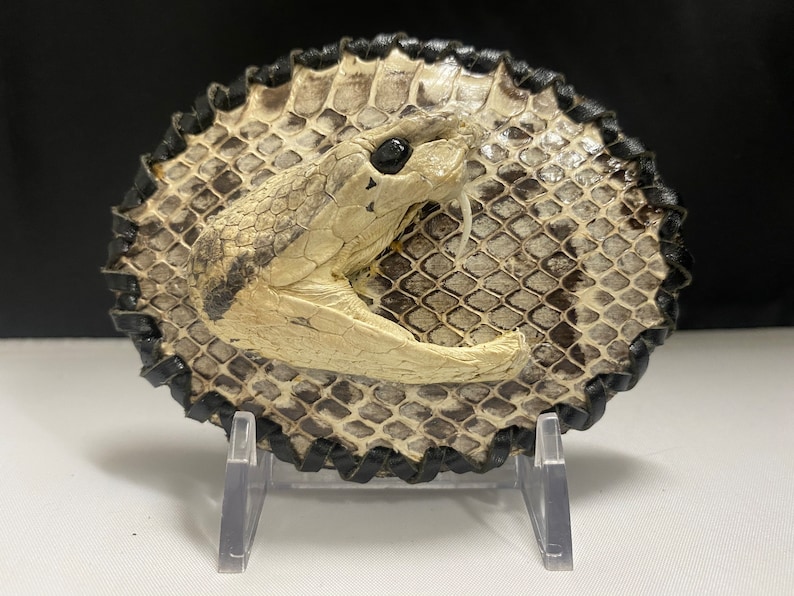 Peut inclure: Une boucle de ceinture en cuir repr&eacute;sentant une t&ecirc;te de serpent noire et blanche. La t&ecirc;te de serpent est en relief et a un &oelig;il noir. La boucle est de forme ovale et poss&egrave;de une bordure en cuir noir.