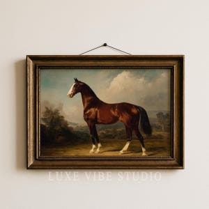 May include: A framed vintage equestrian painting. The artwork depicts a brown horse with a white face and legs, set against a landscape of rolling hills and a cloudy sky. The frame is a dark, ornate wood. The text "LUXE VIBE STUDIO" is at the bottom.