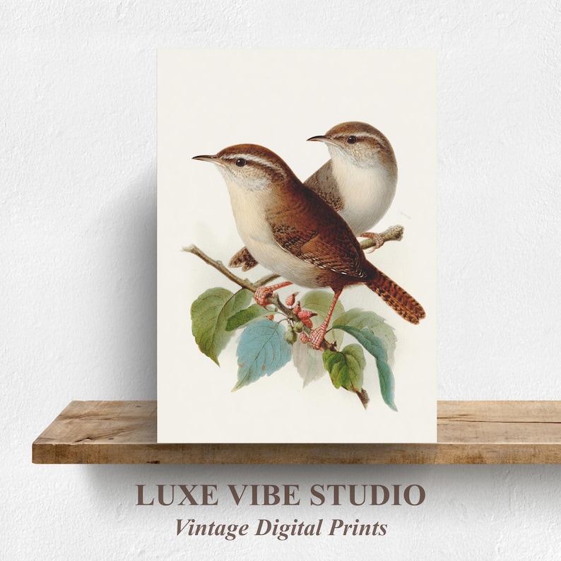 Vintage Natural History Bird Gallery Wall Set of 12, Botanical Bird ...