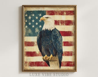 May include: A framed print featuring a bald eagle perched on a branch against a backdrop of the American flag. The eagle has white feathers on its head and a dark blue body. The flag has red and white stripes and a blue field with white stars.