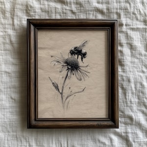 May include: A framed black and white pencil drawing of a bee on a coneflower. The artwork is set against a tan background and enclosed in a dark brown wooden frame. The bee is detailed, with visible wings and body segments.
