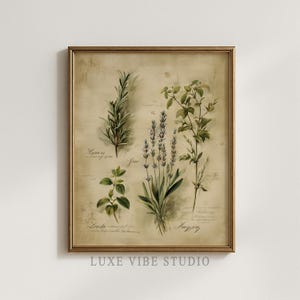 May include: A framed botanical print featuring illustrations of various herbs, including rosemary, lavender, and thyme, against a vintage-style beige background. The print has a gold-colored frame and includes handwritten labels. The text "LUXE VIBE STUDIO" is at the bottom.