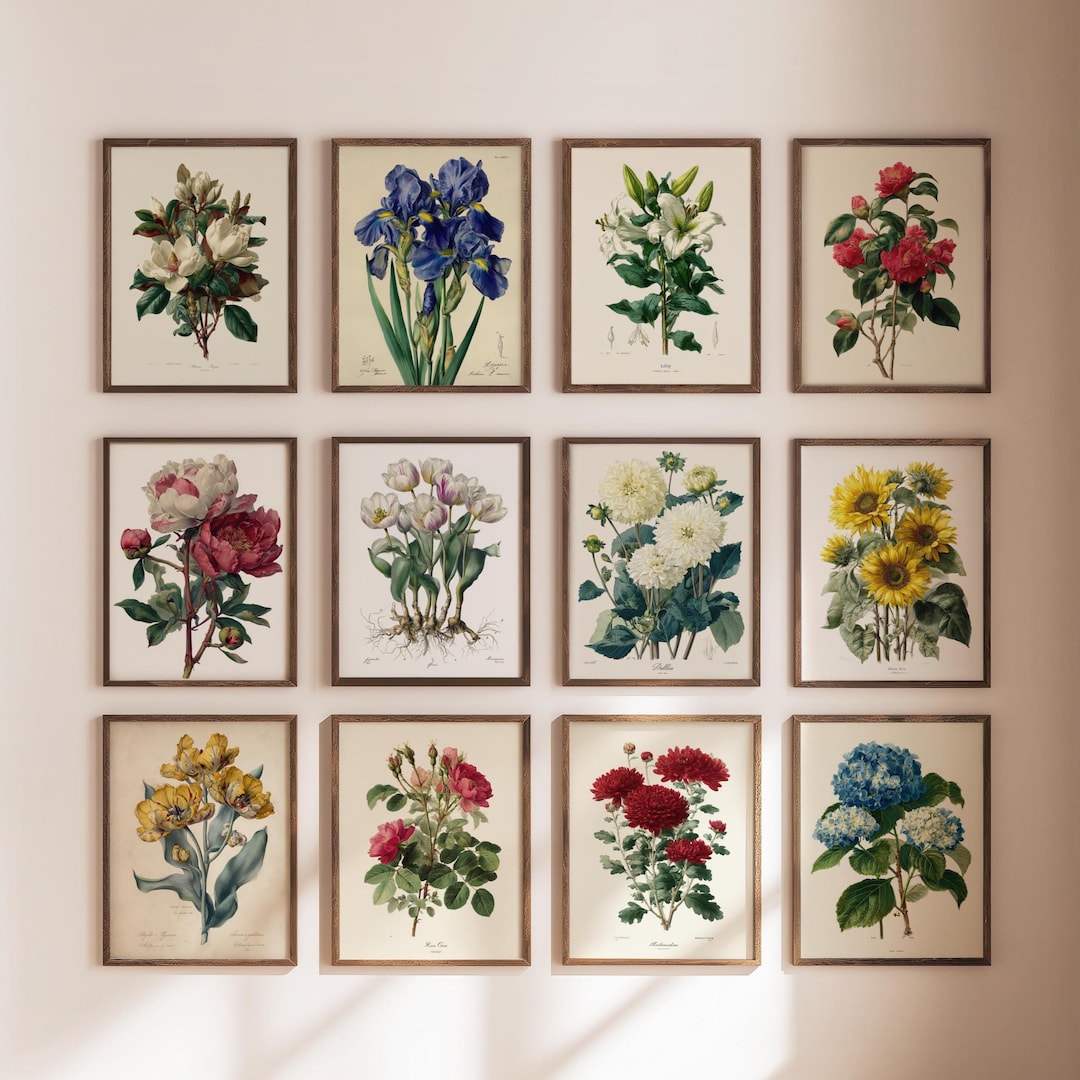 Vintage Botanical Gallery Wall Set of 12 Prints | Antique Floral ...