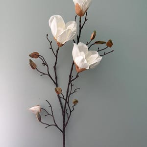 May include: A faux magnolia branch with four open white flowers and several unopened buds. The flowers have brown centers and are attached to dark brown, slender branches. The background is a solid, muted teal color.