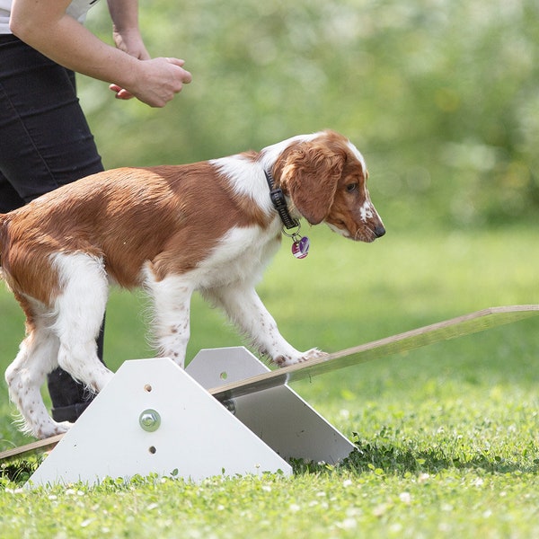 Wippe Hundewippe Wackelbrett Hund Wackelwippe Wackelbrücke Agility Welpenspielzeug Spielzeug für Welpen Hunde