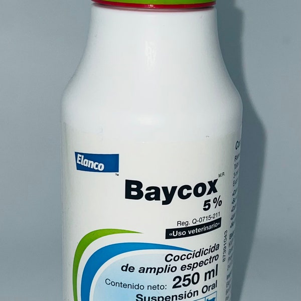 Free Shipping Code Etsy