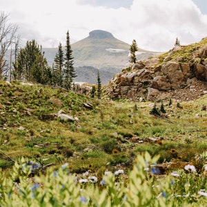 May include: A scenic view of a mountain range with a rocky foreground and green grass. The mountain peak is visible in the distance, with a cloudy sky above.