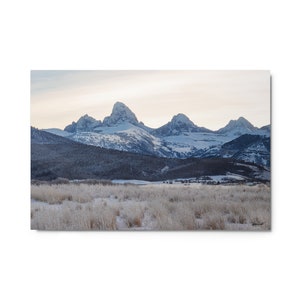 May include: A panoramic view of snow-capped mountains with a foreground of frosted grass. The mountains are a light blue colour with white snow on the peaks. The grass is a light brown colour with frost on it.
