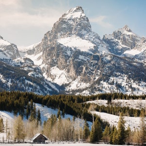 Grand Teton In Spring Metal Print