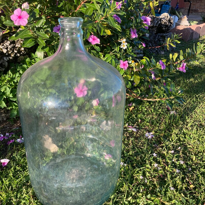 Carboy - Etsy