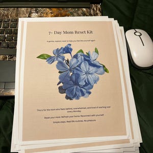May include: A stack of printed papers titled "7- Day Mom Reset Kit." The papers feature a floral illustration of blue flowers with green leaves. Text on the papers includes a description of the kit and its purpose.