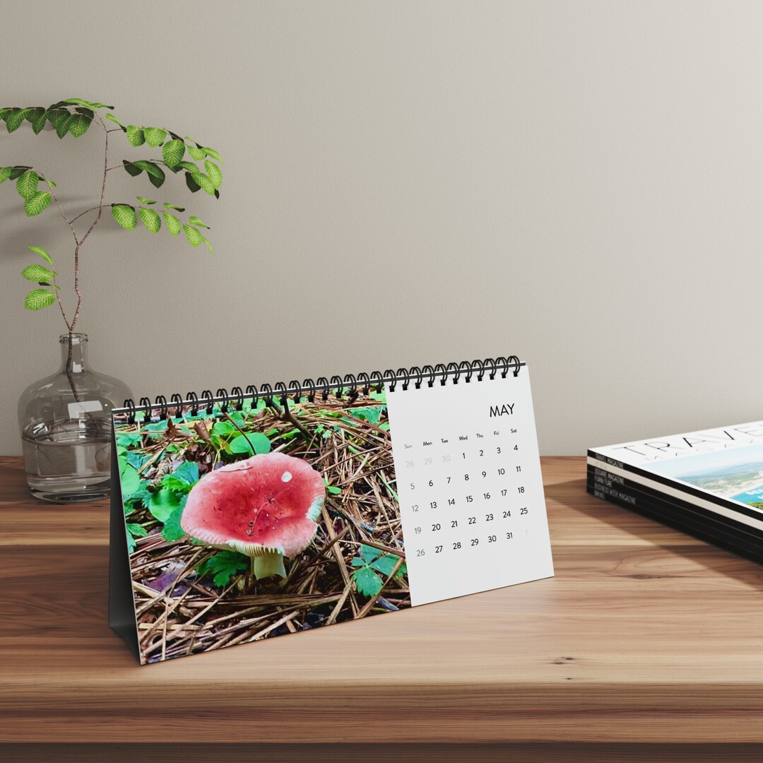 Fungi Desktop Calendar 2024 Grid Etsy