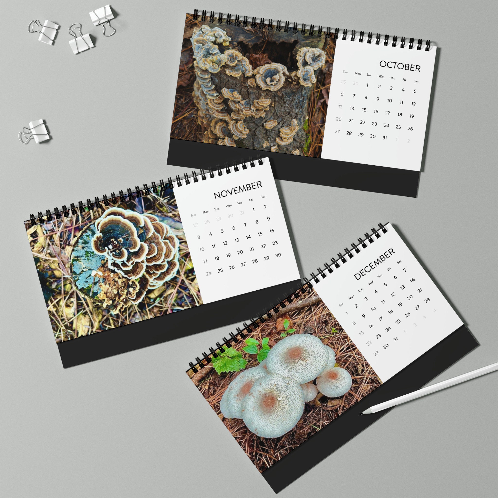 Fungi Desktop Calendar 2024 Grid Etsy